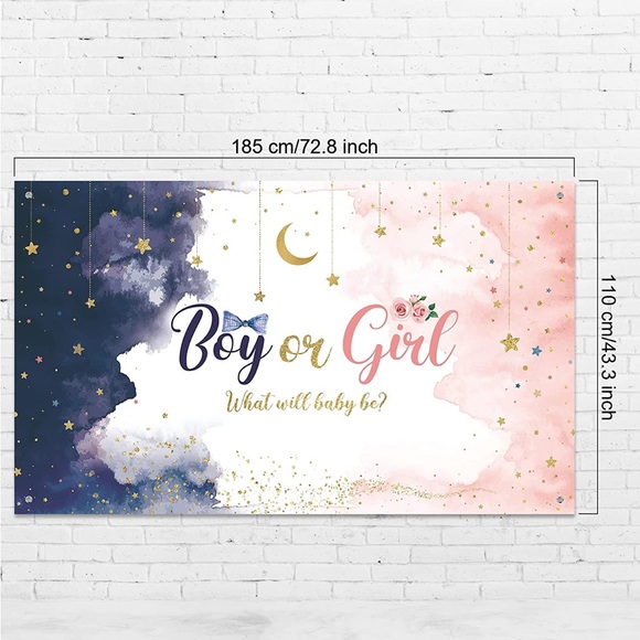 Gender Reveal Banner - Picture 2 of 3